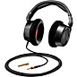 Open Box Neumann NDH 30 Open-Back Studio Headphones, Black Edition Level 1
