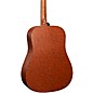 Martin Special Birdseye HPL X Series Dreadnought Acoustic-Electric Guitar Cognac