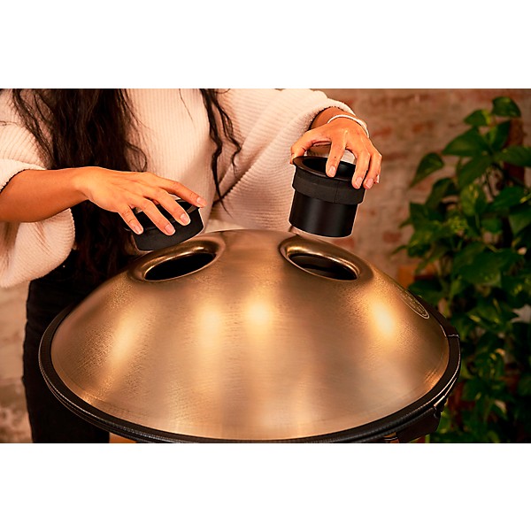 MEINL Sonic Energy D Amara 10 Note Sensory Handpan