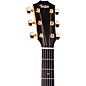 Taylor 214ce DLX Ziricote Special-Edition Grand Auditorium Acoustic-Electric Guitar Shaded Edge Burst