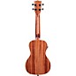 Kala KA-CGE Concert Gloss Acoustic-Electric Ukulele