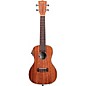 Kala KA-CGE Concert Gloss Acoustic-Electric Ukulele