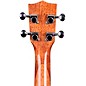 Kala KA-TG Tenor Gloss Ukulele