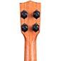 Kala KA-SCAC-T Tenor Ukulele