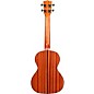 Kala KA-STG Tenor Gloss Ukulele