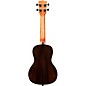 Kala Ziricote Gloss Concert Ukulele