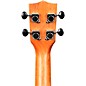 Kala Ziricote Gloss Concert Ukulele