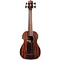 Kala Striped Ebony Fretless Acoustic-Electric U-Bass