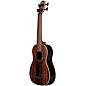 Kala Striped Ebony Fretless Acoustic-Electric U-Bass