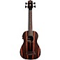 Open Box Kala Striped Ebony Acoustic-Electric U-Bass Level 1