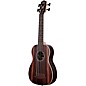 Kala Striped Ebony Round Wound String Acoustic-Electric U-Bass