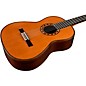 Jose Ramirez "Guitarra del Tiempo" Studio Commemorative Cedar Classical Acoustic Guitar Natural