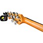 Ernie Ball Acoustic Essentials Pack
