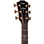 Taylor 914ce Special Edition Grand Auditorium Acoustic-Electric Guitar Natural