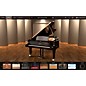 IK Multimedia Pianoverse Black Diamond Download