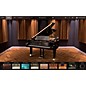 IK Multimedia Pianoverse NY Grand S274 Download