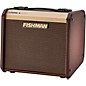 Fishman Loudbox Micro Acoustic Combo Guitar Amp