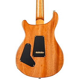 PRS Custom 24 10-Top Electric Guitar Carroll Blue