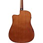 Ibanez PF54CE Dreadnought Acoustic-Electric Guitar Natural