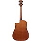 Ibanez PF54CE Dreadnought Acoustic-Electric Guitar Natural