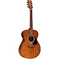 Ibanez PC54E Grand Concert Acoustic-Electric Guitar Natural