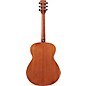 Ibanez PC54OPN Grand Concert Acoustic Guitar Natural