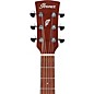 Ibanez PC54OPN Grand Concert Acoustic Guitar Natural