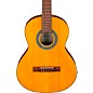 Ibanez GA2OAM 3/4 Size Classical Acoustic Guitar Amber thumbnail