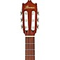 Ibanez GA2OAM 3/4 Size Classical Acoustic Guitar Amber