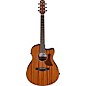 Ibanez AAM54CE Advanced Auditorium Acoustic-Electric Guitar Natural