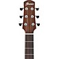 Ibanez AAM54CE Advanced Auditorium Acoustic-Electric Guitar Natural
