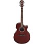 Ibanez AE100 Grand Auditorium Acoustic-Electric Guitar Burgundy Flat