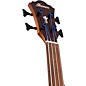 Ibanez AEGB24FE Fretless Auditorium Acoustic-Electric Bass Guitar Mahogany Sunburst
