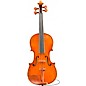 Eastman Andreas Eastman VL906 Master Series+ Violin 4/4 thumbnail