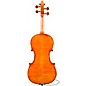 Eastman Andreas Eastman VL906 Master Series+ Violin 4/4