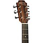 Sheeran by Lowden S02 Concert Acoustic-Electric Guitar Natural