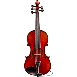 Eastman Rudoulf Doetsch VA7015 Series+ 5-String Viola Outfit with Case and Bow 16 in.