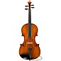 Eastman Albert Nebel VA601 Series+ Viola Outfit With Case and Bow 15 in. thumbnail
