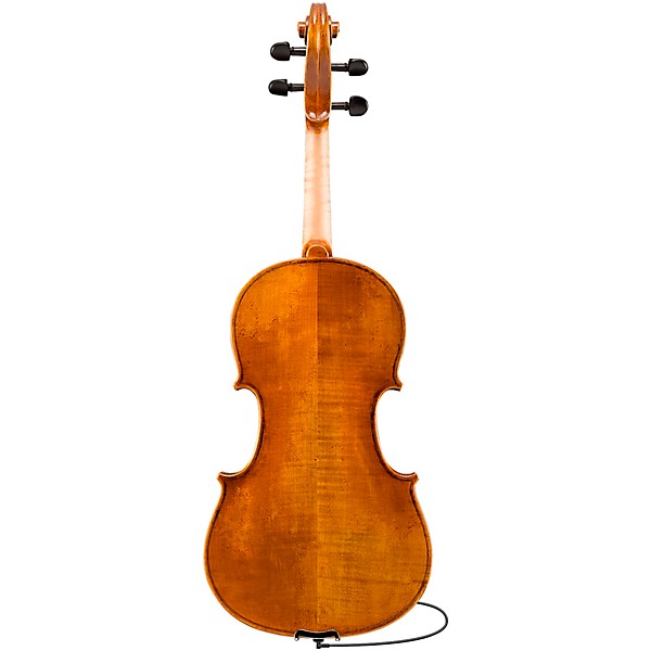 Eastman Albert Nebel VA601 Series+ Viola Outfit With Case and Bow 15.5 in.