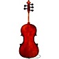 Eastman Rudoulf Doetsch VA7015 Series+ 5-String Viola 15.5 in.