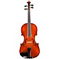 Eastman Andreas Eastman VA305 Series+ Viola Outfit With Case and Bow 15.5 in. thumbnail