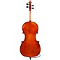 Eastman Albert Nebel VC601 Series+ Cello 4/4