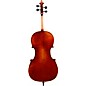 Eastman Rudoulf Doetsch VC7015 Series+ 5-String Cello 4/4