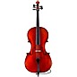Eastman Rudoulf Doetsch VC7015 Series+ 5-String Cello with Case and Bag 4/4 thumbnail