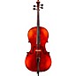 Eastman Andreas Eastman VC305 Series+ Cello 4/4 thumbnail