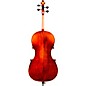 Eastman Andreas Eastman VC305 Series+ Cello 4/4
