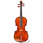 Eastman Andreas Eastman VL405 Series+ Violin 4/4 thumbnail