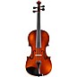 Eastman Andreas Eastman VL305 Series+ Violin Outfit with Case and Bow 4/4 thumbnail