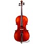 Eastman Samuel Eastman VC145 Series+ Cello 4/4 thumbnail