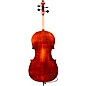 Eastman Samuel Eastman VC145 Series+ Cello 4/4